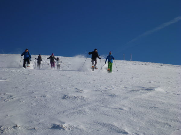 Schneeschuhwandern Feldberg Gipfeltrail