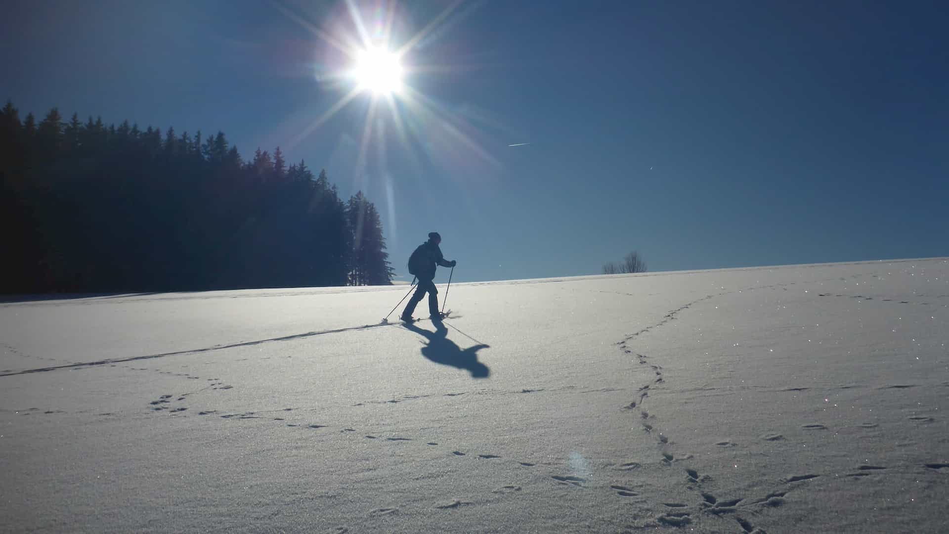 Schneeschuhwandern Schönwald im Schwarzwald